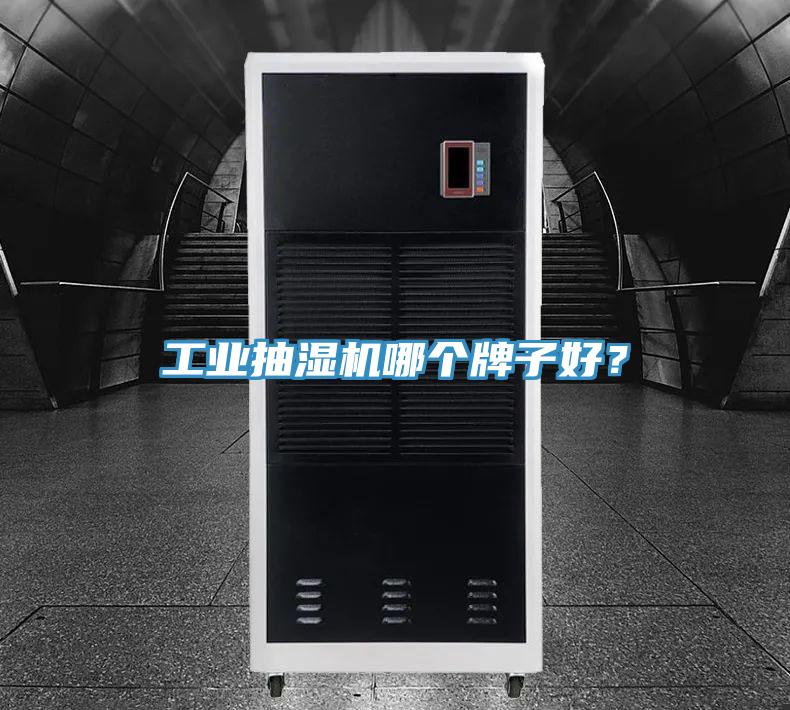 工業(yè)抽濕機哪個牌子好？