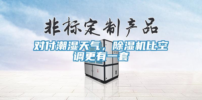 對付潮濕天氣，除濕機比空調(diào)更有一套