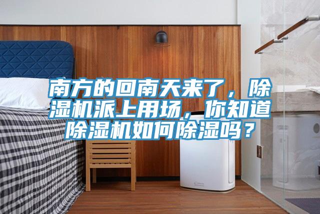 南方的回南天來了，除濕機(jī)派上用場(chǎng)，你知道除濕機(jī)如何除濕嗎？