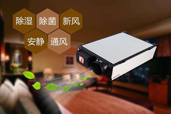 雙十一剛過，雙十二如約而至，濕冷還受得了嗎？