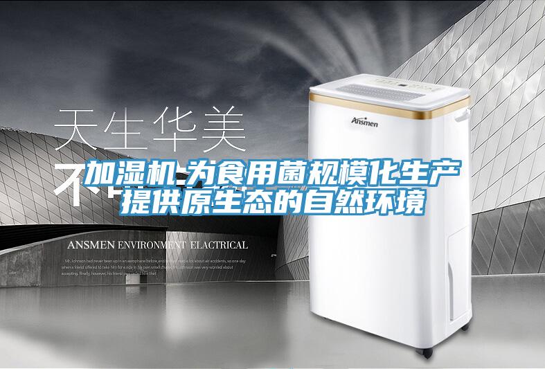 加濕機　為食用菌規(guī)?；a(chǎn)提供原生態(tài)的自然環(huán)境