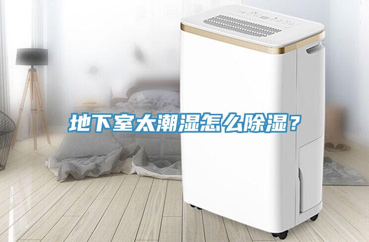 地下室太潮濕怎么除濕？