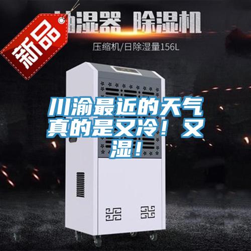 川渝最近的天氣真的是又冷！又濕！