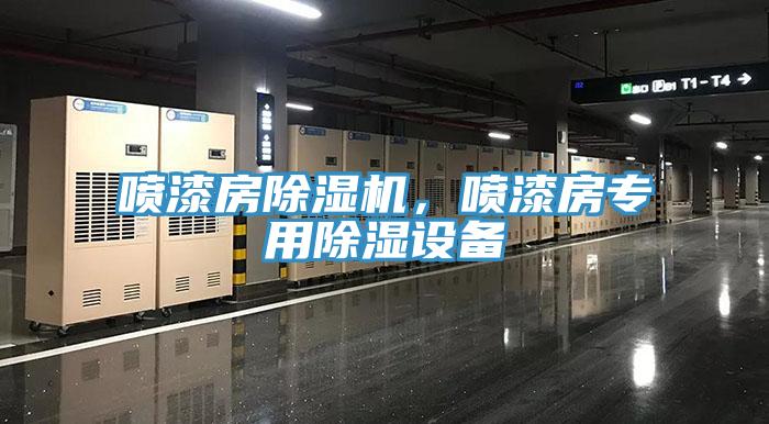 噴漆房除濕機(jī)，噴漆房專用除濕設(shè)備