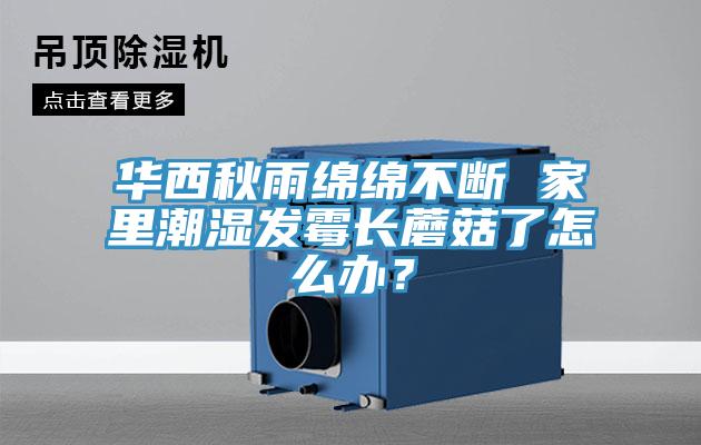 華西秋雨綿綿不斷 家里潮濕發(fā)霉長蘑菇了怎么辦？
