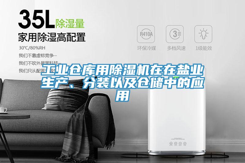 工業(yè)倉庫用除濕機在在鹽業(yè)生產(chǎn)、分裝以及倉儲中的應用