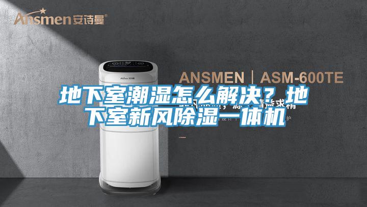 地下室潮濕怎么解決？地下室新風(fēng)除濕一體機(jī)