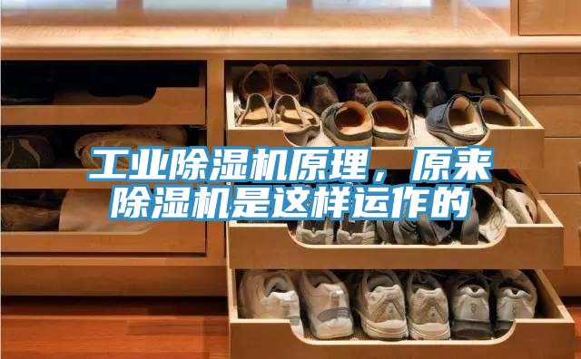 工業(yè)除濕機(jī)原理，原來除濕機(jī)是這樣運(yùn)作的