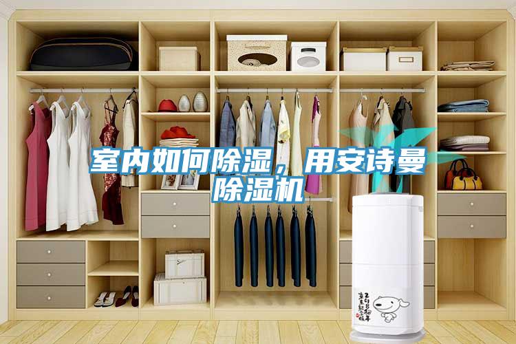 室內(nèi)如何除濕，用安詩曼除濕機(jī)