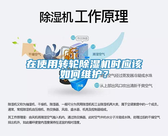 在使用轉輪除濕機時應該如何維護？