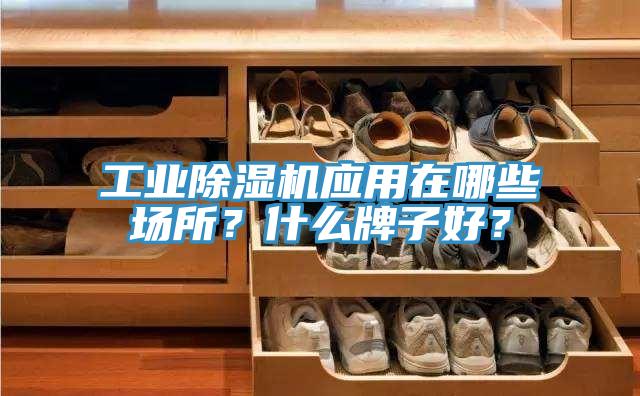 工業(yè)除濕機(jī)應(yīng)用在哪些場(chǎng)所？什么牌子好？