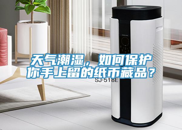 天氣潮濕，如何保護(hù)你手上留的紙幣藏品？