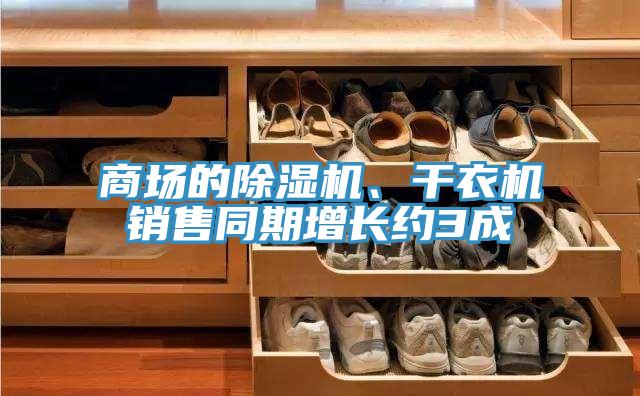 商場的除濕機(jī)、干衣機(jī)銷售同期增長約3成