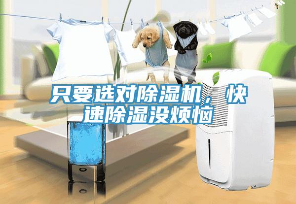 只要選對(duì)除濕機(jī)，快速除濕沒煩惱