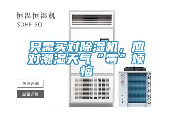 只需買對除濕機(jī)，應(yīng)對潮濕天氣“霉”煩惱