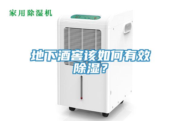 地下酒窖該如何有效除濕？