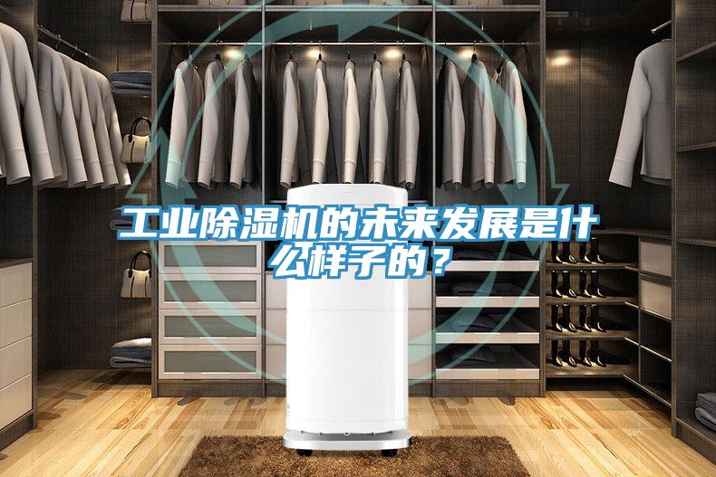 工業(yè)除濕機(jī)的未來(lái)發(fā)展是什么樣子的？
