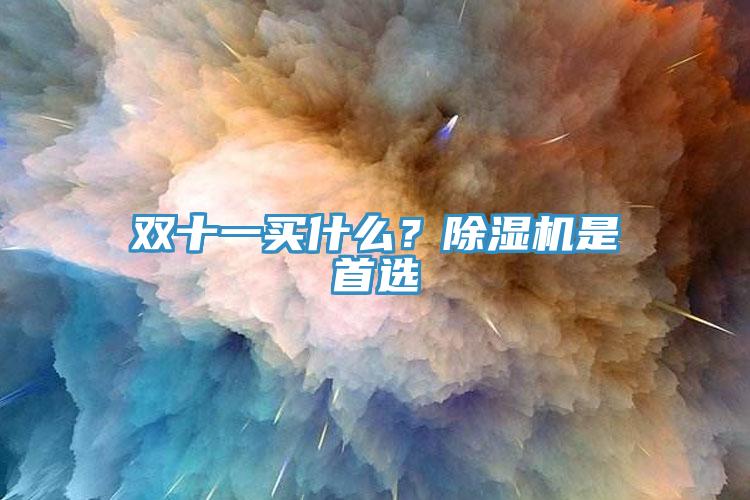 雙十一買什么？除濕機(jī)是首選