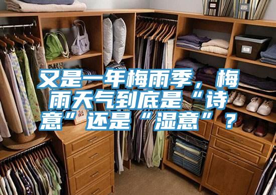又是一年梅雨季，梅雨天氣到底是“詩意”還是“濕意”？