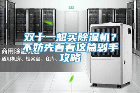 雙十一想買除濕機(jī)？不妨先看看這篇剁手攻略