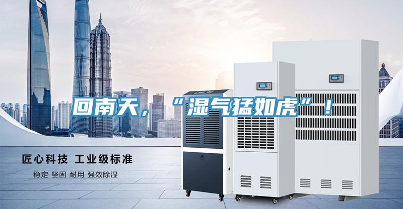 回南天，“濕氣猛如虎”！