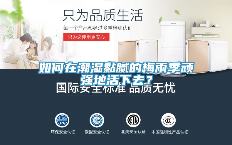 如何在潮濕黏膩的梅雨季頑強(qiáng)地活下去？