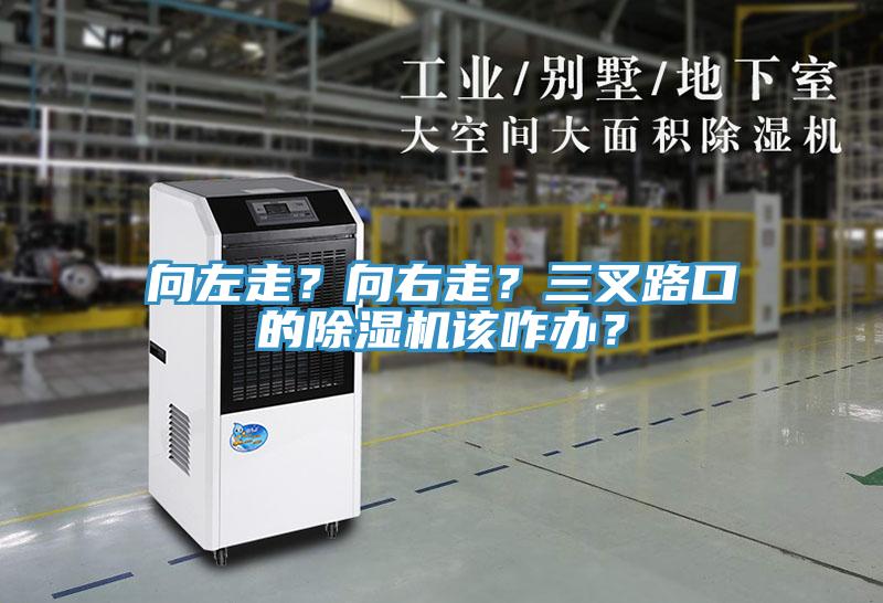 向左走？向右走？三叉路口的除濕機(jī)該咋辦？