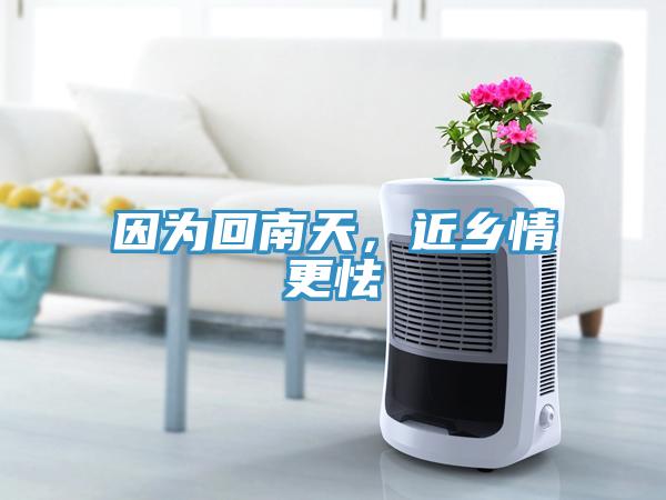 因?yàn)榛啬咸?，近鄉(xiāng)情更怯