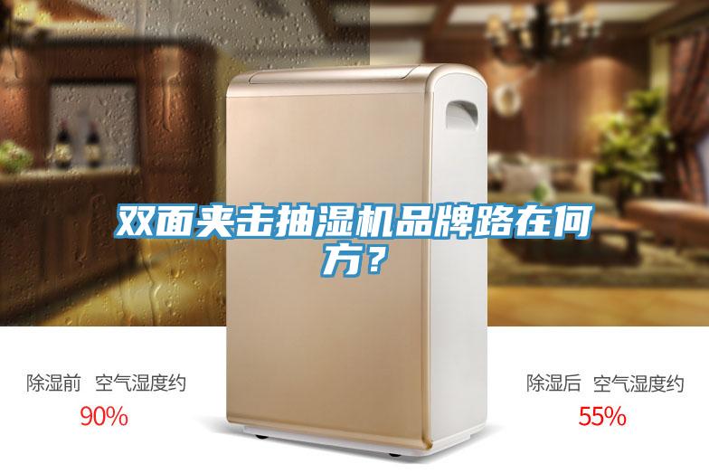 雙面夾擊抽濕機(jī)品牌路在何方？