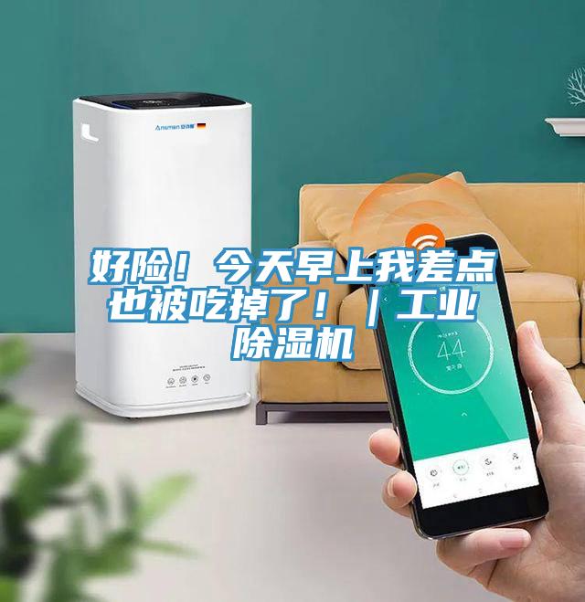 好險！今天早上我差點也被吃掉了?。I(yè)除濕機