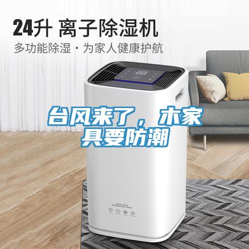 臺風(fēng)來了，木家具要防潮