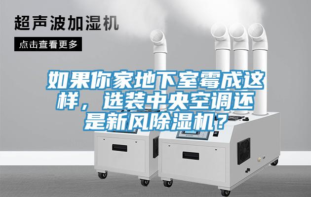 如果你家地下室霉成這樣，選裝中央空調(diào)還是新風(fēng)除濕機(jī)？