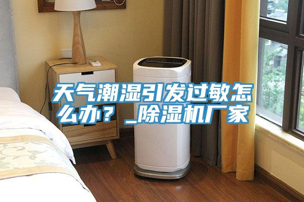 天氣潮濕引發(fā)過(guò)敏怎么辦？_除濕機(jī)廠家