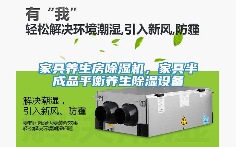 家具養(yǎng)生房除濕機(jī)，家具半成品平衡養(yǎng)生除濕設(shè)備