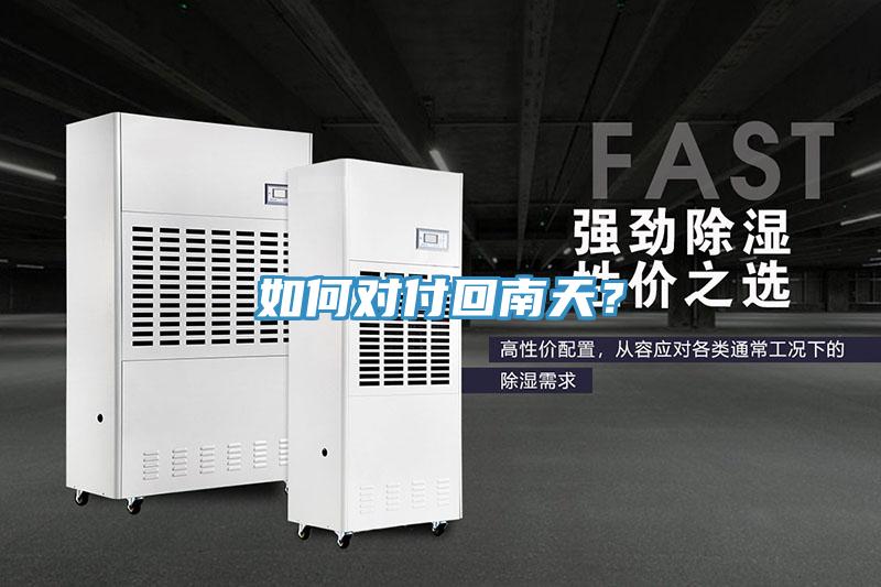 如何對(duì)付回南天？
