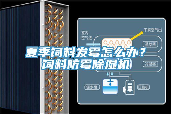 夏季飼料發(fā)霉怎么辦？飼料防霉除濕機(jī)