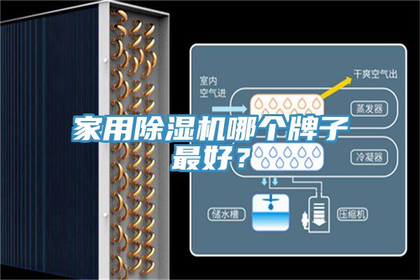家用除濕機哪個牌子最好？