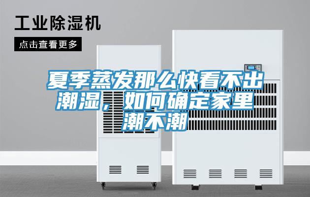 夏季蒸發(fā)那么快看不出潮濕，如何確定家里潮不潮