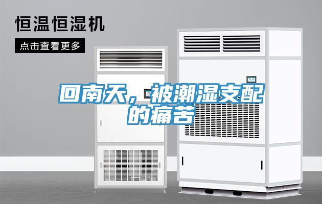 回南天，被潮濕支配的痛苦