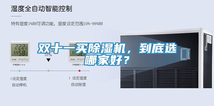 雙十一買除濕機(jī)，到底選哪家好？