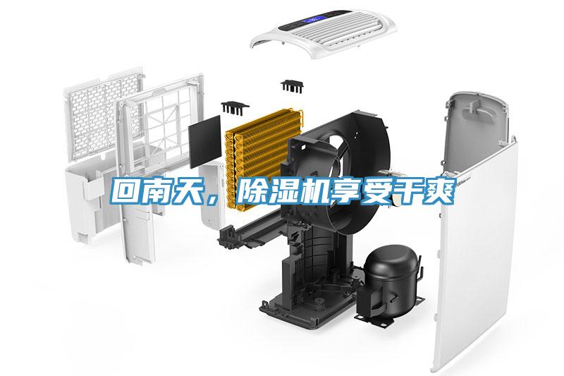 回南天，除濕機享受干爽