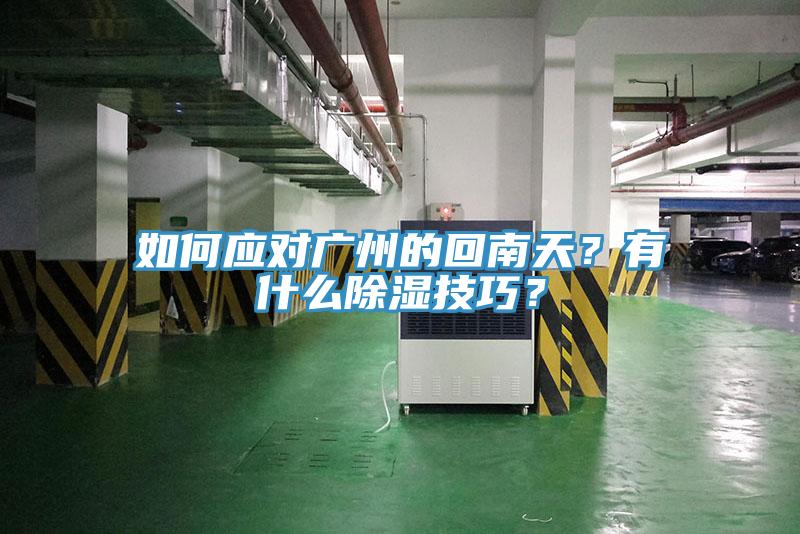 如何應(yīng)對(duì)廣州的回南天？有什么除濕技巧？