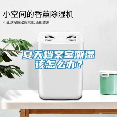夏天檔案室潮濕該怎么辦？