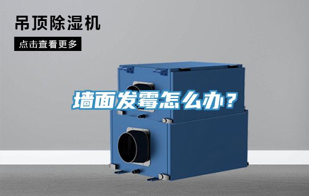 墻面發(fā)霉怎么辦？