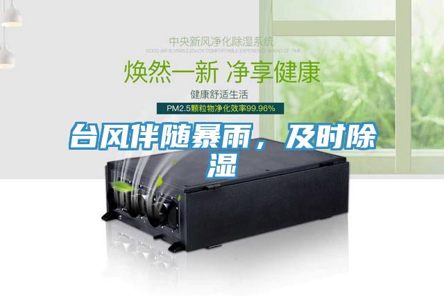 臺風(fēng)伴隨暴雨，及時除濕