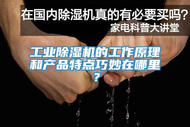 工業(yè)除濕機(jī)的工作原理和產(chǎn)品特點(diǎn)巧妙在哪里？