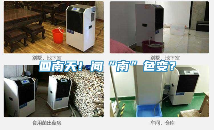 回南天！聞“南”色變？