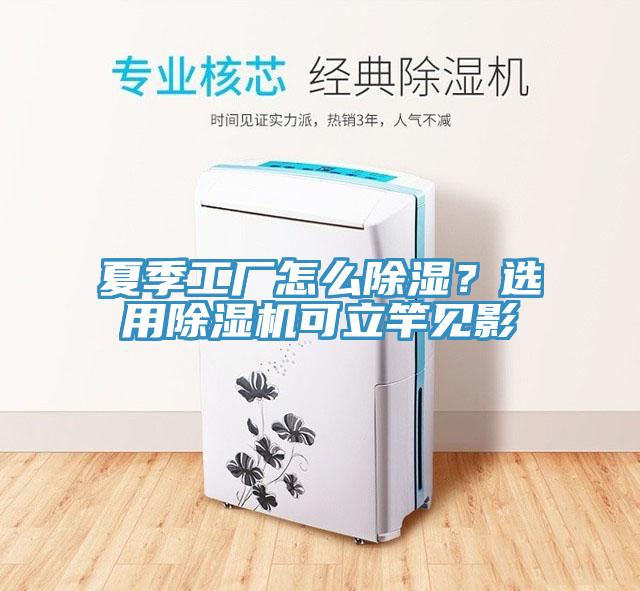 夏季工廠怎么除濕？選用除濕機(jī)可立竿見影