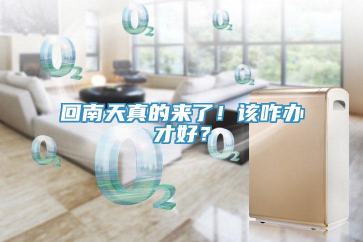 回南天真的來了！該咋辦才好？
