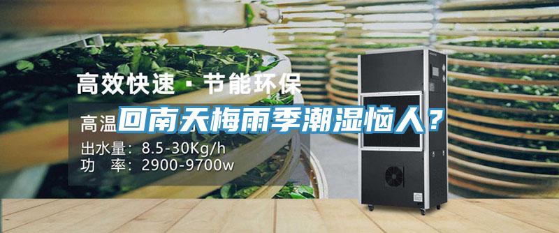 回南天梅雨季潮濕惱人？